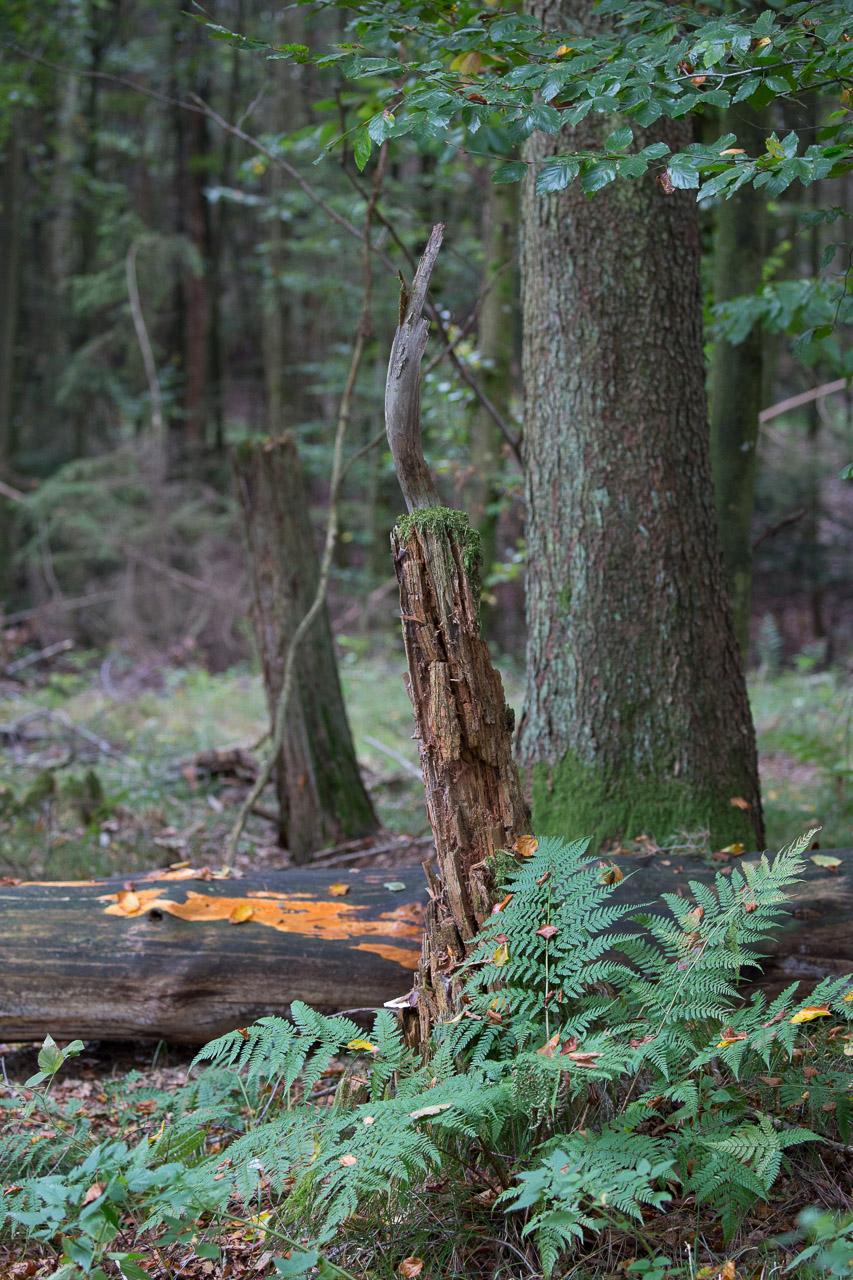 20231014100727 3K6A2206